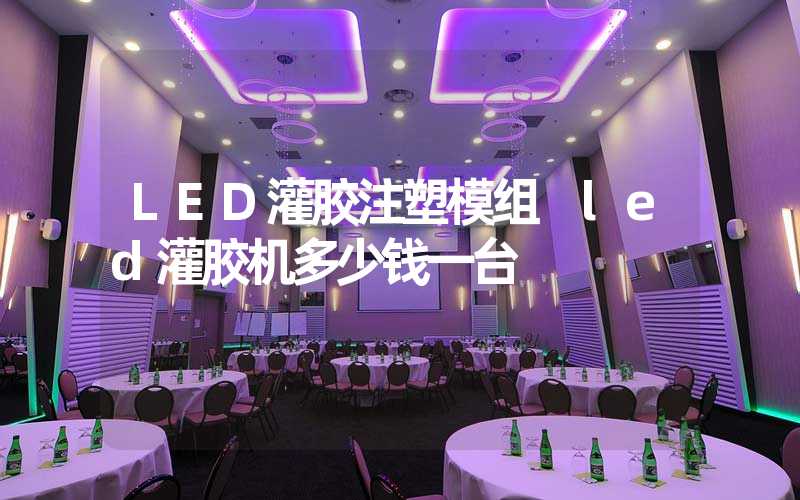 LED灌胶注塑模组 led灌胶机多少钱一台